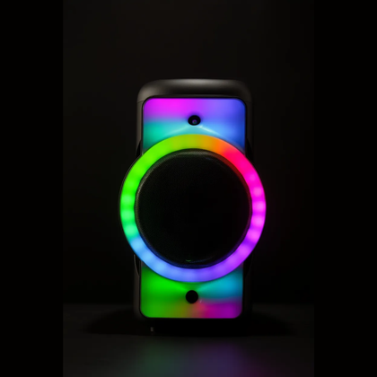 Bluetooth Party-Lautsprecher ROKKA