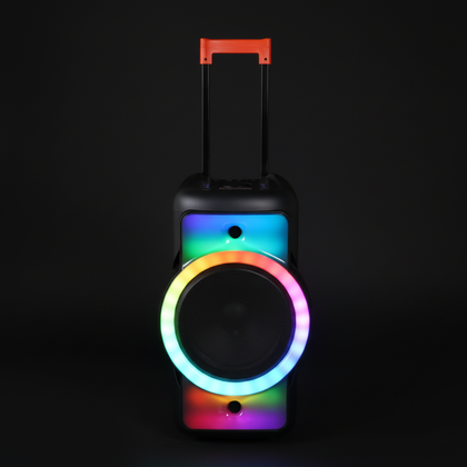 Bluetooth Party-Lautsprecher ROKKA