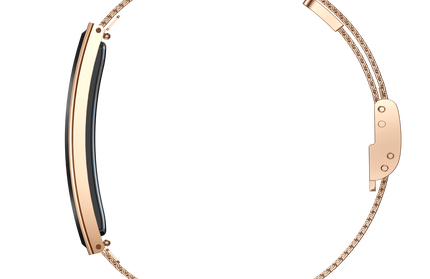 Smart Armband LUXIS