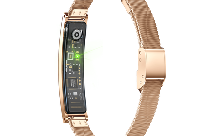 Smart Armband LUXIS