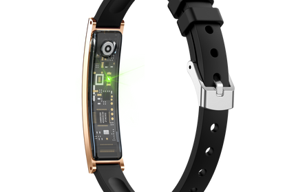 Smart Armband LUXIS