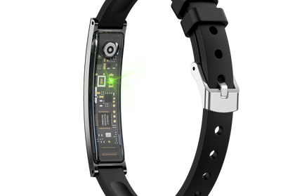 Smart Armband LUXIS