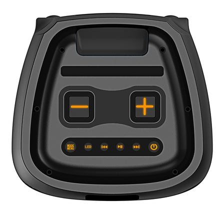 Bluetooth Lautsprecher ZEAL 1000 | Kraftvoller Party-Lautsprecher mit LED-Lichtshow & Mikrofon